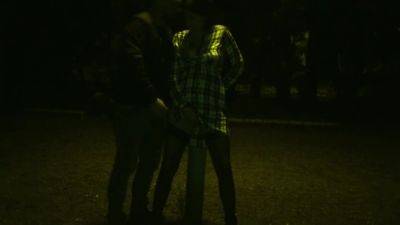 Kinky Couple Masturbates Together In A Public Park - hotmovs.com